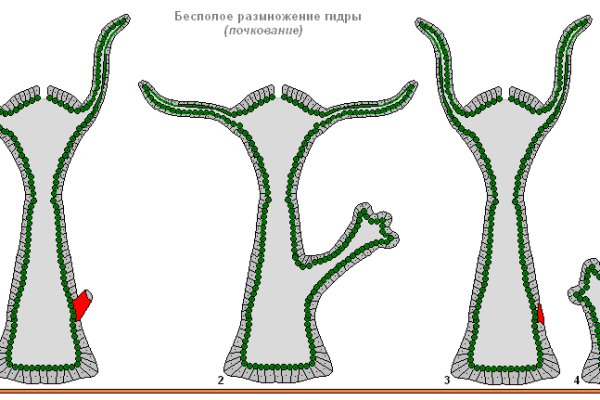 Кракен оф сайт