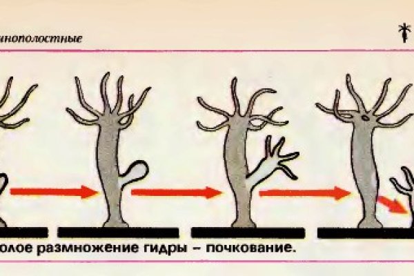 Украли аккаунт кракен